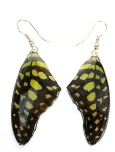 "HANDMADE REAL BUTTERFLY WING EARRINGS \"Tailed Jay\" This beautiful earrings are made from real butterfly wings . This earrings are colorful and unique jewelry made by the nature and they will give you a unique and attractive look. Measurements Wing Size(Approx):2.5\" L x 1\" W Material: Real butterfly wings & resin Coated (* Resin Coated Preserves the butterfly colors better than the laminated one & its Very durable) Thank you for watching." Multicolor Butterfly Earrings For Pierced Ears, Multicolor Butterfly Earrings, Unique Green Butterfly Earrings, Handmade Multicolor Butterfly Earrings, Multicolor Butterfly Charm Earrings, Butterfly Wings Earrings, Butterfly Colors, Wings Earrings, Real Butterfly Wings