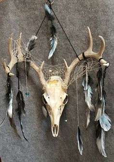 an animal skull with feathers hanging from it's side on a gray carpeted floor