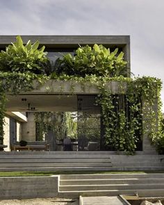 a house with plants growing on the side of it's wall and steps leading up to the front door