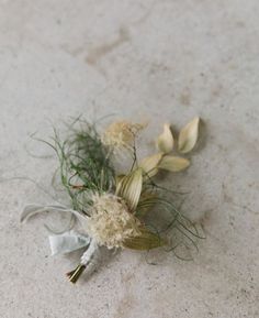 two dried flowers sitting on the ground next to each other