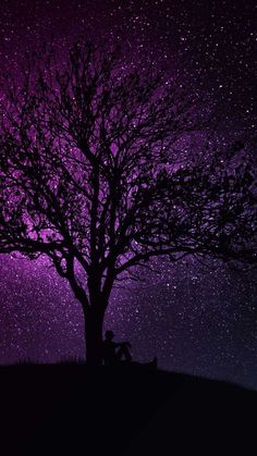 a person sitting under a tree with the stars in the night sky behind them,