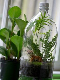 there is a glass bottle with plants in it and a tiger figurine inside