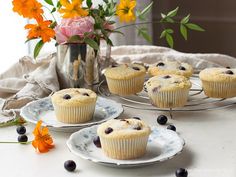 blueberry muffins on plates with flowers in the background