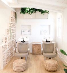 two chairs in a room with plants on the wall