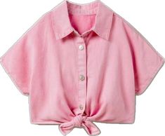 Cute Pink Collared Top, Cute Zara Cotton Shirt, Pink Collared Zara Top, Zara Pink Collared Tops, Pink Cotton Zara Shirt, Zara Pink Cotton Shirt, Cute Summer Shirt By Zara, Zara Embroidered Shirt, Gold Sequin Blouse