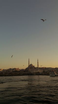 two birds flying over the water in front of a large building with a domed roof