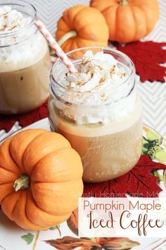 pumpkin maple iced coffee with whipped cream in a mason jar and mini pumpkins on the side