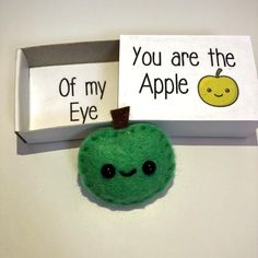 a green apple sitting in front of a box with two signs on it that say, you are the apple of my eye