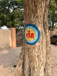 a tree with a blue and yellow circle painted on it's trunk in front of a building