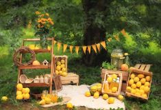 there are lemons and oranges on display in the grass near a tree with bunting flags