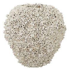 a white vase with holes in the middle on a white background, it appears to be made out of corals