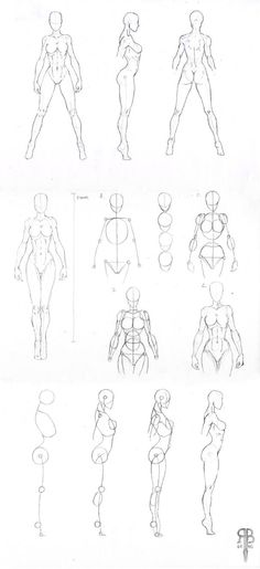 an image of different poses and body shapes in the form of human figures, drawn by hand