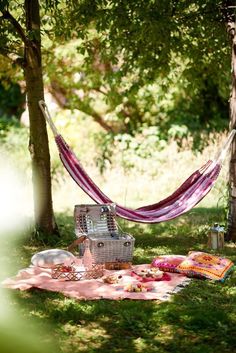 a hammock set up in the woods with food