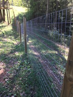 a wire fence in the middle of a wooded area