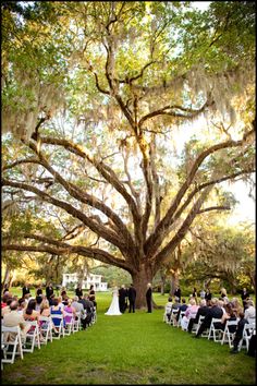 an outdoor ceremony under a large tree