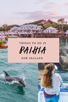 a girl looking at dolphins in the water with text overlay that reads things to do in paiha, new zealand