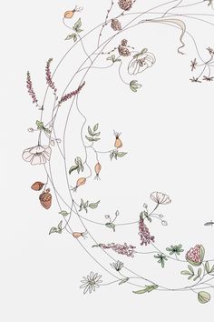 an artistic drawing of flowers and leaves on a white background with space in the middle