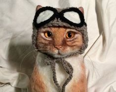 a cat wearing a knitted hat and scarf with goggles on it's head