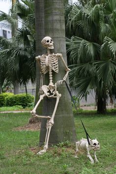 a skeleton is walking his dog on a leash in the grass next to a tree