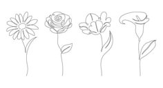 four different types of flowers are shown in this line art drawing technique, which is easy to draw and can be used for many projects