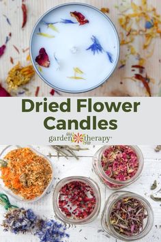 A homemade candle with pressed dried flowers and four jars filled with assorted dried flowers. Diy Natural Candles, Draw A Candle, Pressed Flower Candles, Homemade Candle Recipes, Diy Candles With Flowers, Dried Flower Candles, Candle Scents Recipes, Candle Making Recipes