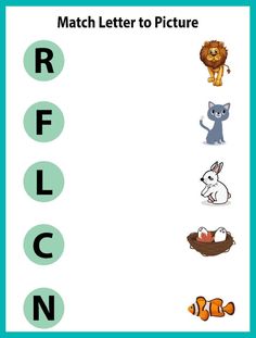 the letter r is for lion and other animals