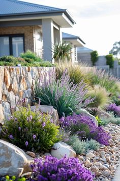 an outdoor garden with rocks, plants and stones on the side of the road in front of a house