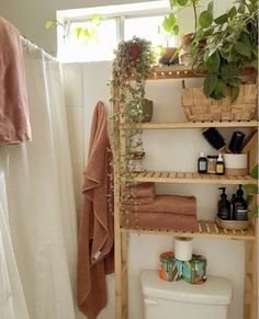 a bathroom with a toilet, shower curtain and plants on the shelves next to it