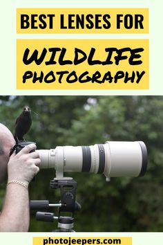 a man holding a camera with the words best lenses for wildlife photography