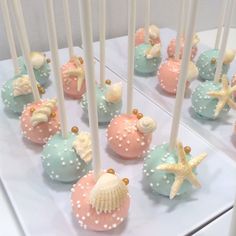 there are many cake pops decorated with seashells and starfish