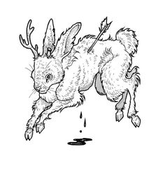 an ink drawing of a rabbit falling off its hind legs into the water, with one leg in the air