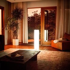 a living room with a couch, coffee table and potted plant