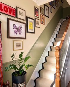 a staircase with pictures on the wall and a potted plant