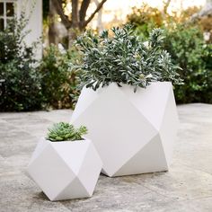 two white geometric planters with succulents in them on a patio area