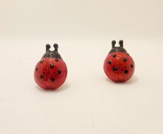 two red and black ladybugs sitting on top of each other