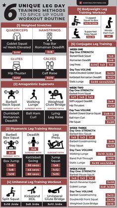 an info sheet with instructions on how to use the gym equipment for strength and flexibility