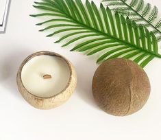 a coconut and a candle next to a palm leaf on a white surface with a digital camera in the background