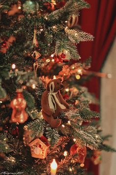 a teddy bear ornament hanging from the top of a christmas tree