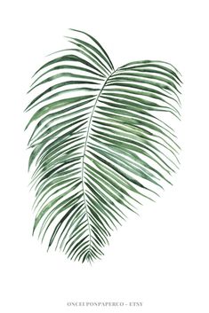 a green palm leaf on a white background