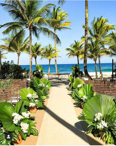 an outdoor ceremony setup with palm trees and flowers on the aisle leading to the beach