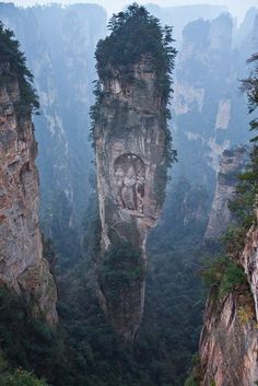 the mountains are surrounded by trees and fog