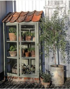 an old china cabinet with potted plants in it and a garden shed behind it