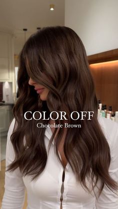 Brunette Hair Color One Color, One Colour Brunette Hair, Brunette Hair Chocolate Brown, Dark Chocolate Hair Balayage, Choate Brown Hair, Best Hair Colour For Deep Winter, Brunette Toned Hair, Cholate Brown Color Hair, Chocolate Hair Green Eyes