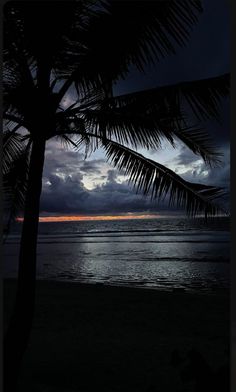 the sun is setting over the ocean and palm trees are silhouetted against the dark clouds