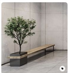 a small tree sitting on top of a wooden bench in front of a cement wall