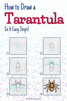 Step by step drawings illustrating how to draw a Tarantula Drawing Tarantula Drawing, Drawing Lessons For Kids, Sketches Simple, Easy Doodles Drawings, Draw Your, Simple Doodles