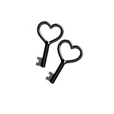 two keys shaped like hearts are shown in the shape of a key to each other