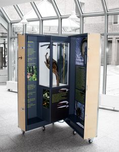 an open display case with birds in it