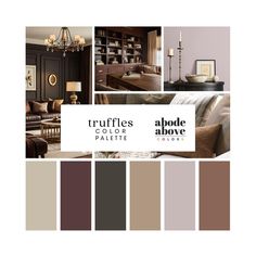 a living room with furniture and decor in shades of brown, beige, and grey