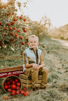 a young boy sitting in an apple orchard